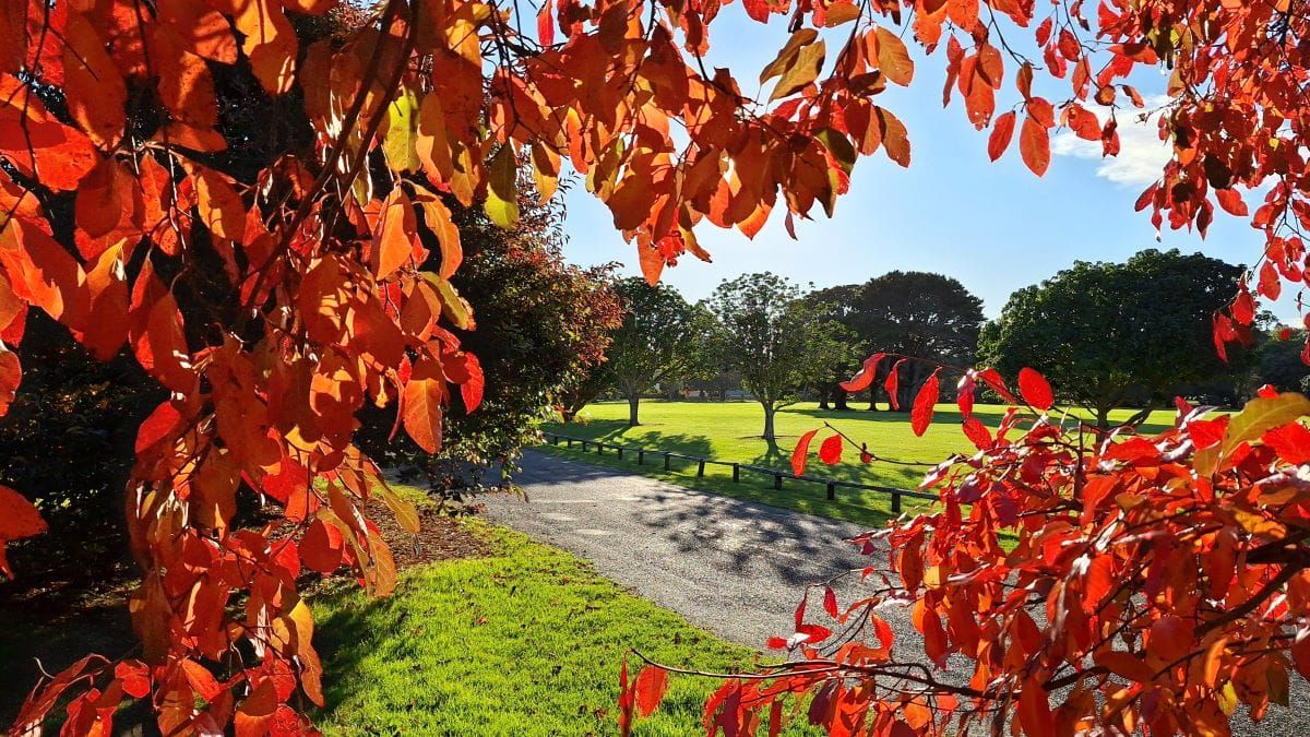 In Tune with the Seasons