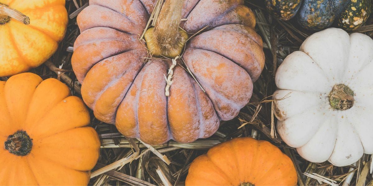Pumpkins