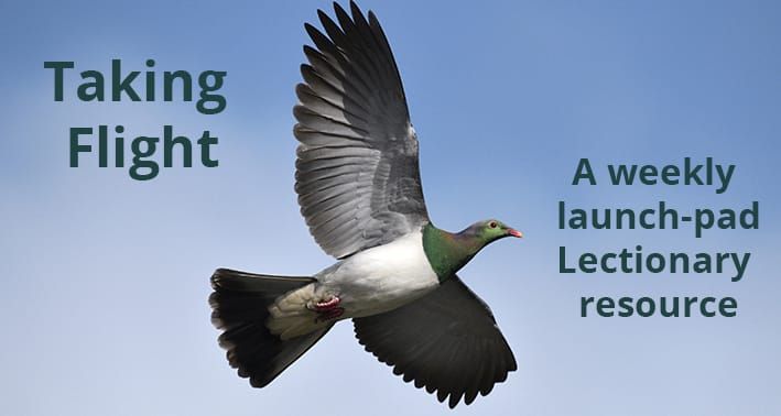 Taking Flight