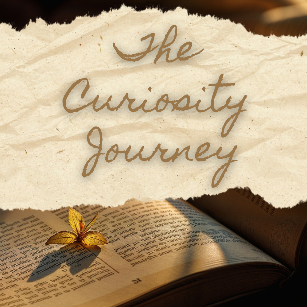 The Curiosity Journey