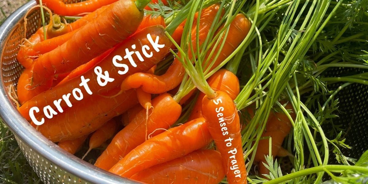 Carrot and Stick