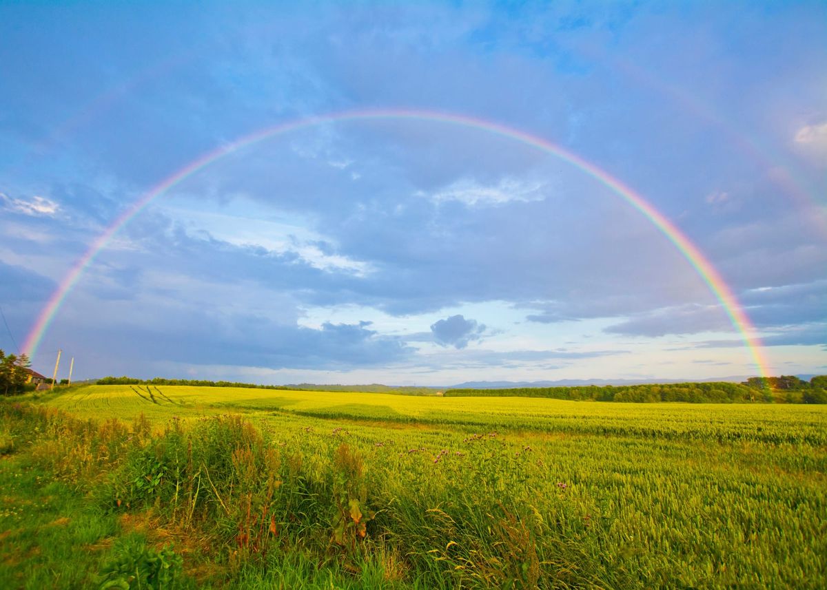 Chasing Rainbows