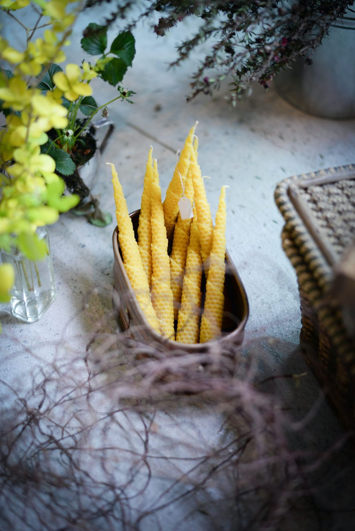 Sunflowers and Beeswax