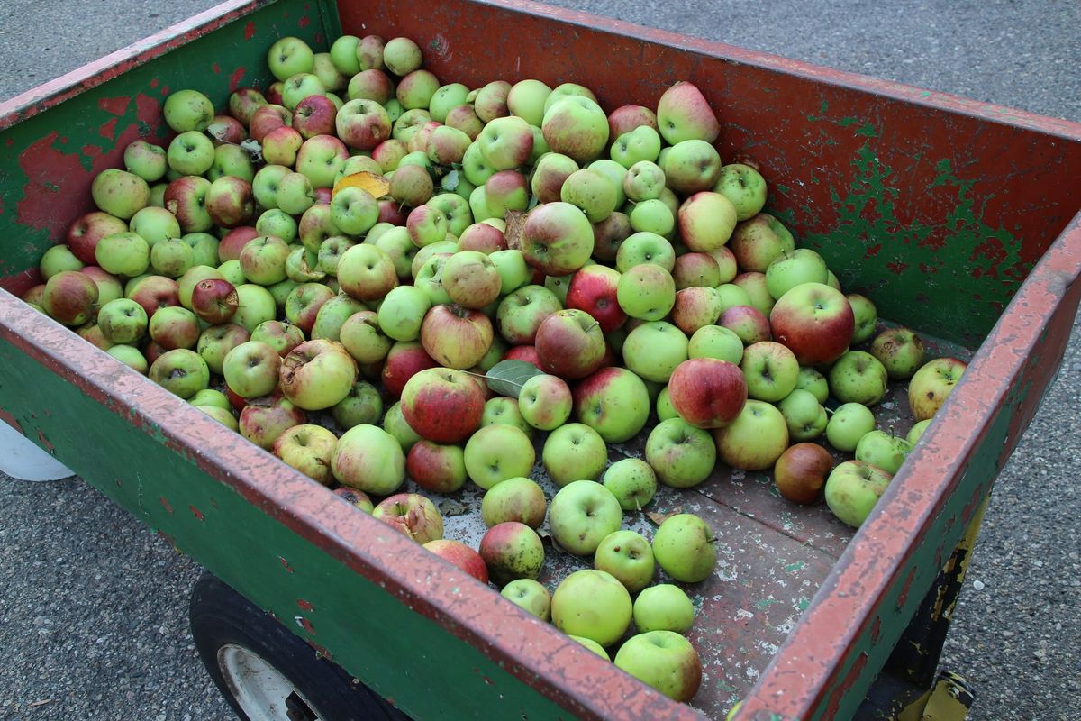 Upsetting the Apple Cart