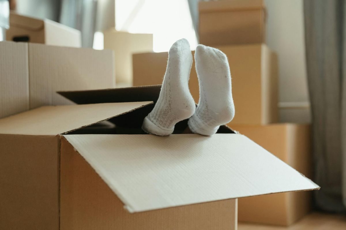 Rags & Cardboard Boxes