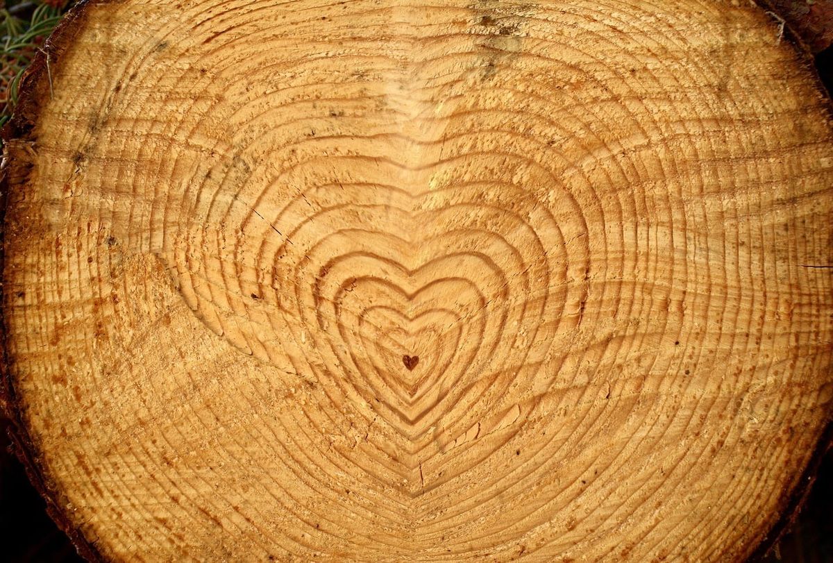 Advent Love