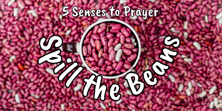 Spill the Beans