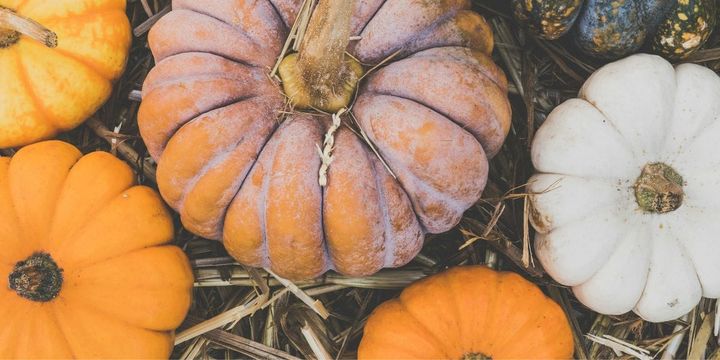 Pumpkins