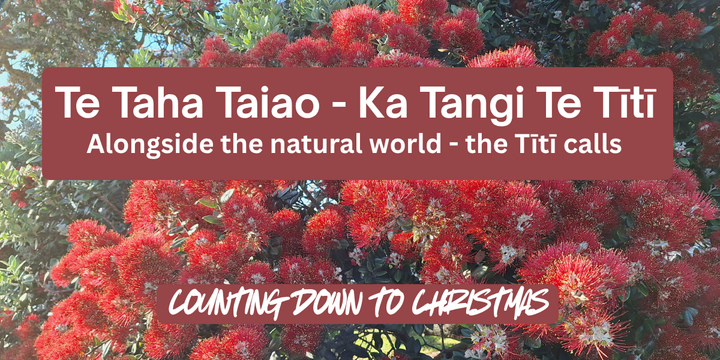 Te Taha Taiao