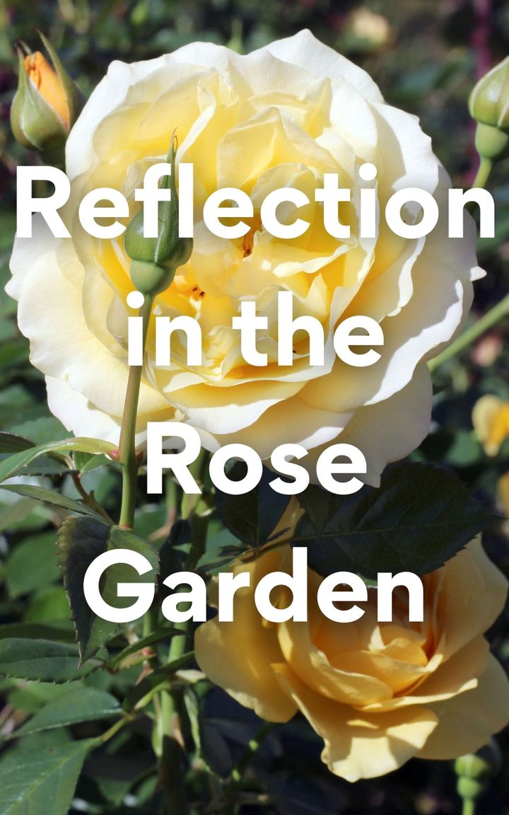 Reflection in the Rose Garden