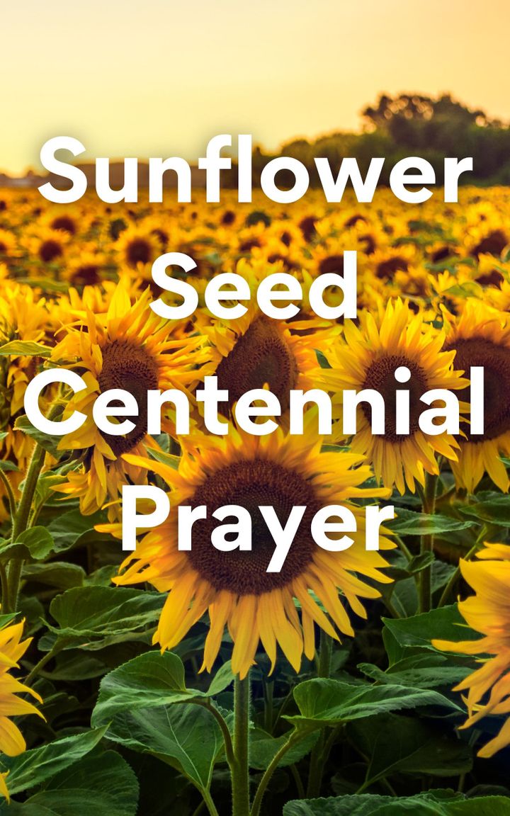 Sunflower Seed Centennial Prayer