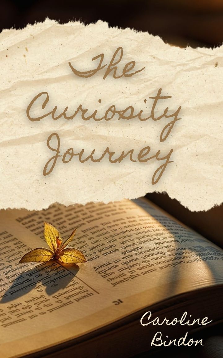 The Curiosity Journey