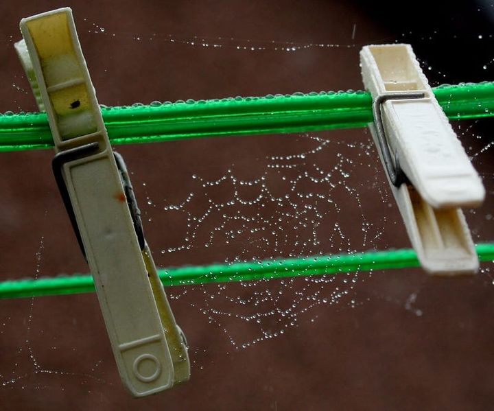 Clothes Pegs and Safety Pins