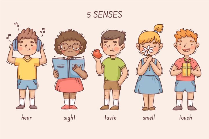 The Power of Sensory