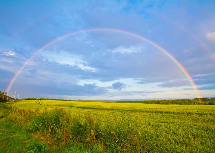 Chasing Rainbows