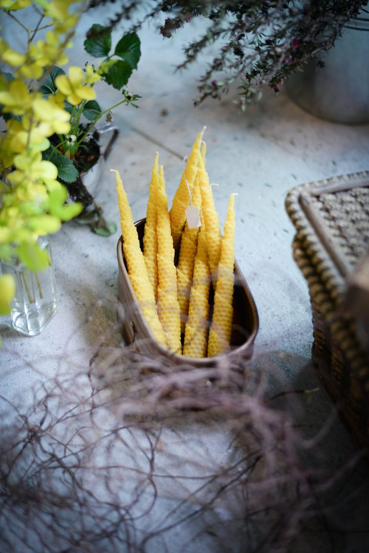 Sunflowers and Beeswax