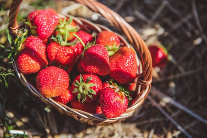 Tastes of Summer