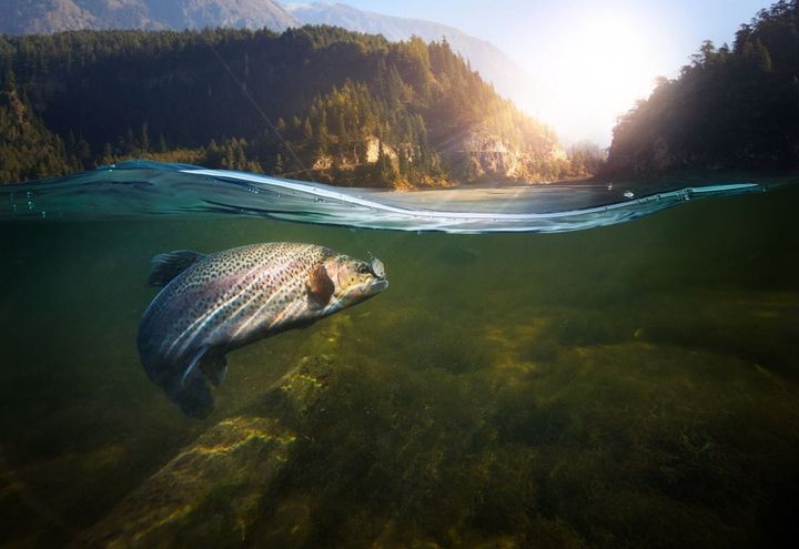 5 Senses to Prayer - Fishing