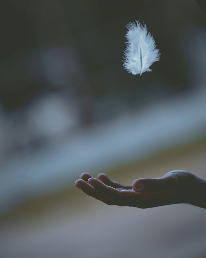 Wheat Bag & Feather
