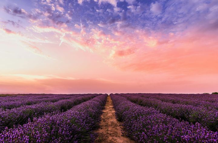 Cloud Pillows and Lavender Spray