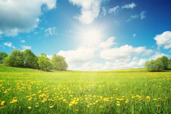 5 Senses to Prayer - Change of Season Spring