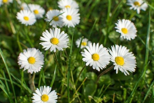 5 Senses to Prayer - Finding Comfort