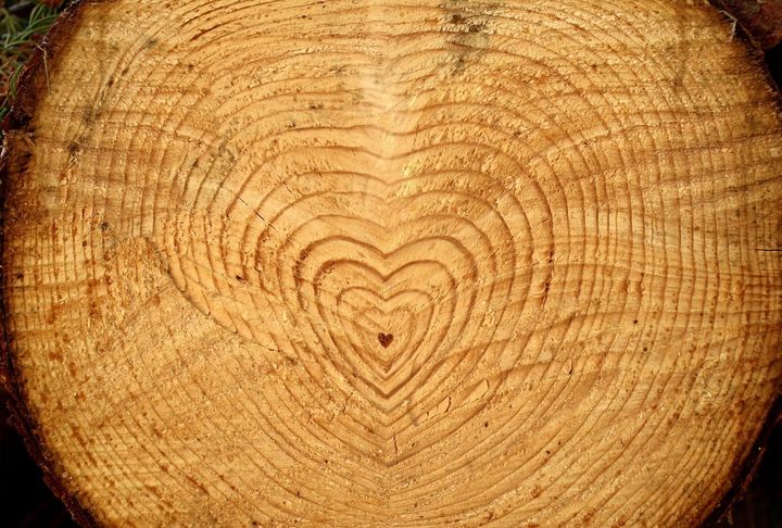 5 Senses to Prayer - Advent Love