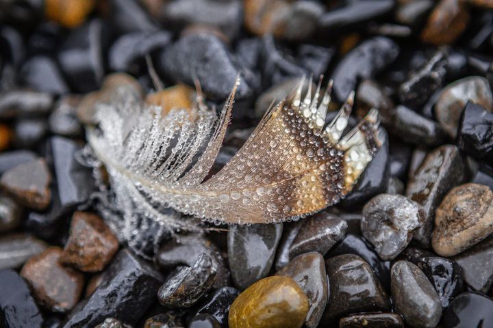 5 Senses to Prayer - Feathers and Stones