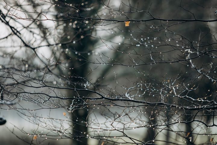 5 Senses to Prayer - Winter Fun Days