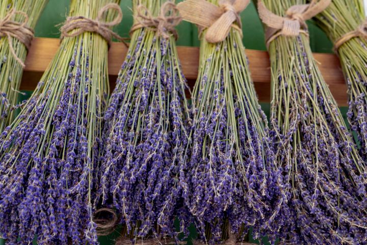 5 Senses to Prayer - Piles and Bunches