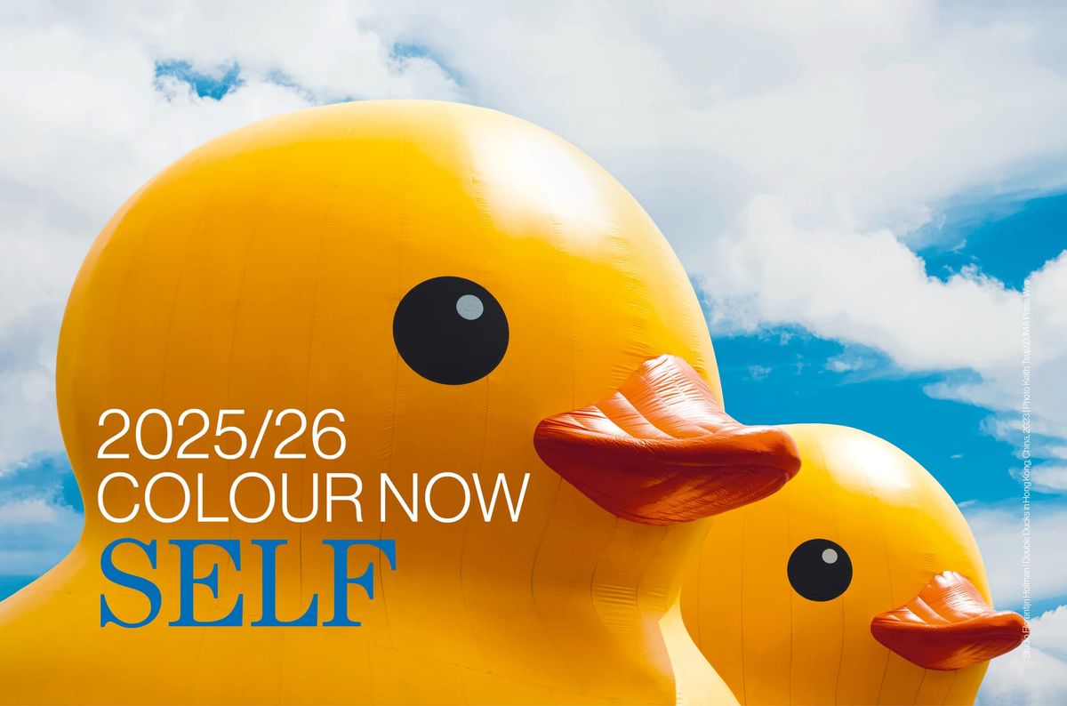 Colour now 2025/26 | SELF