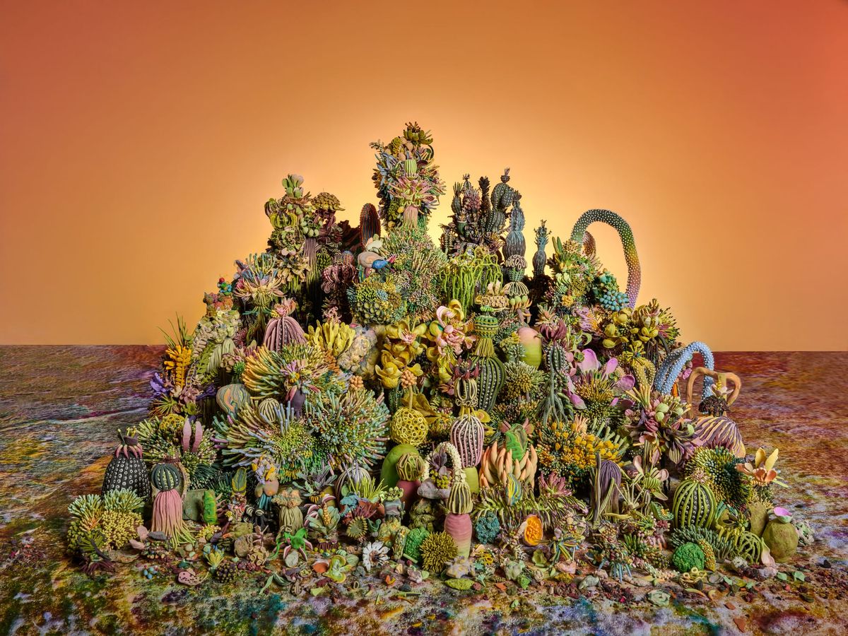 David Aliperti | Mother Tree