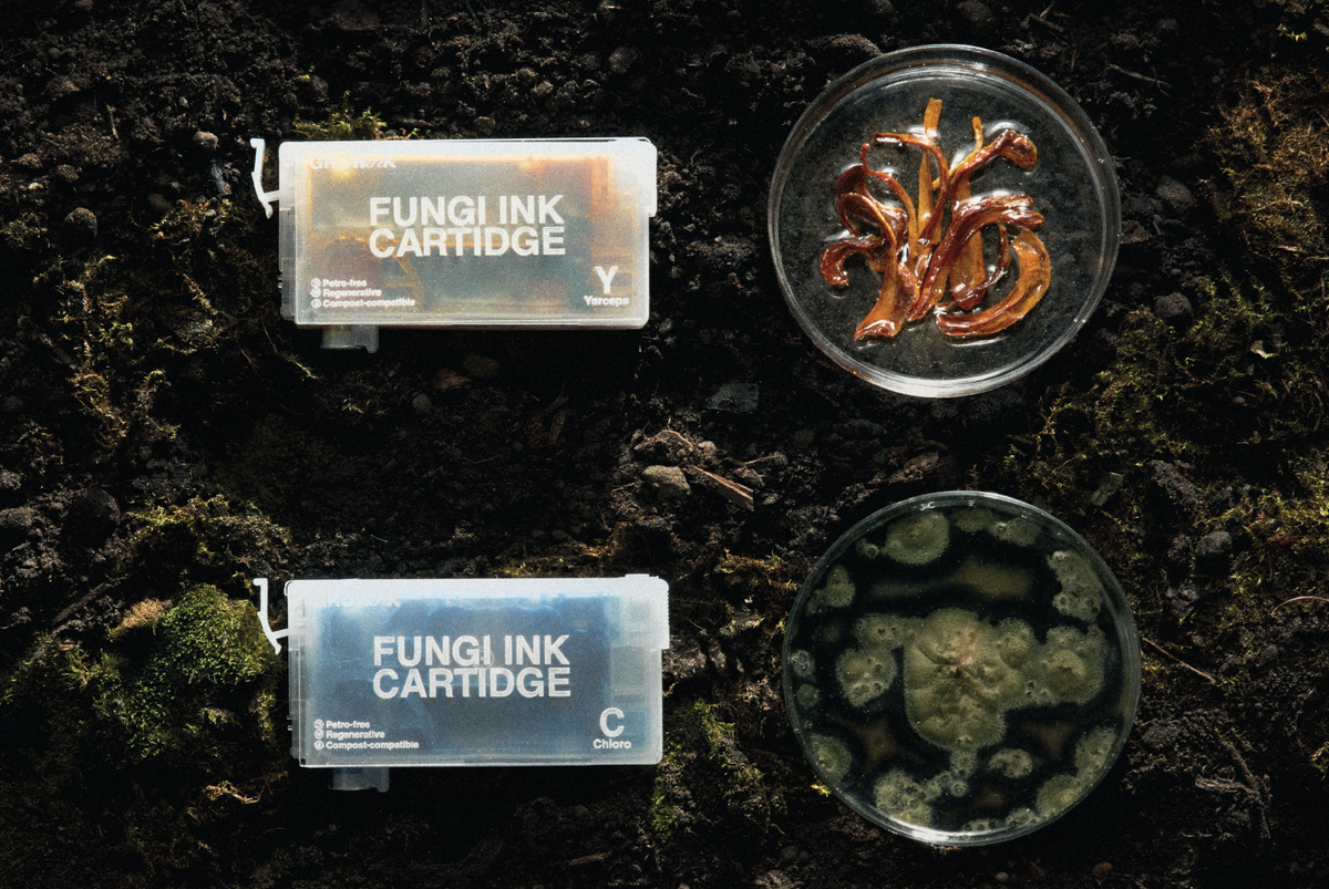 Peerasin Punxh Hutaphaet | GROWinK