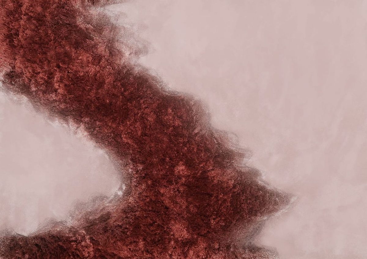 Fungi and Landscapes at JOV