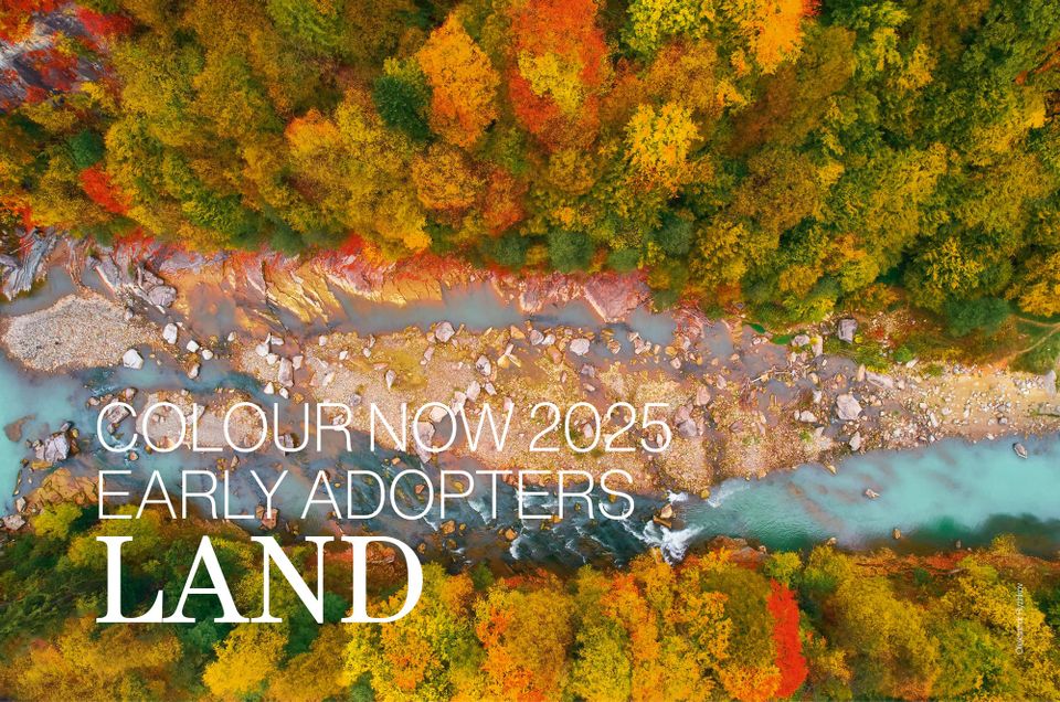Colour Now 2025 | LAND