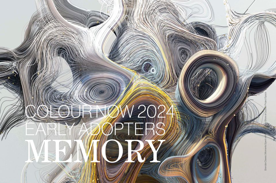 Colour Now 2024 | MEMORY