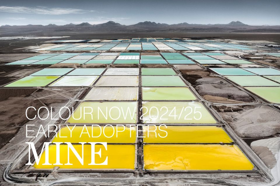 Colour Now 2024/25 | MINE