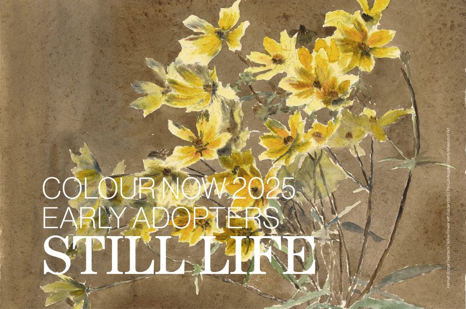 Colour Now 2025 | STILL LIFE