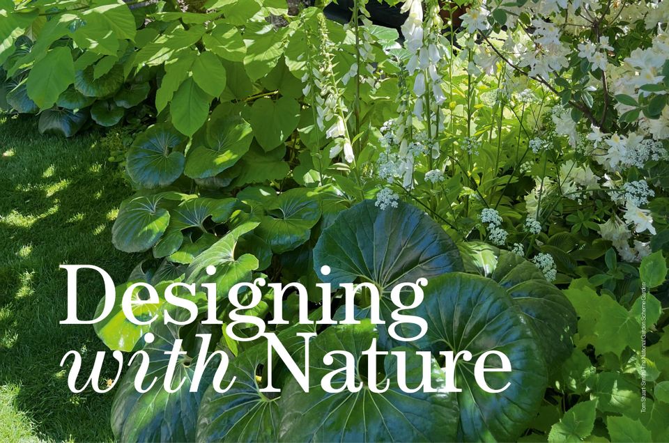 RHS Chelsea Flower Show 2024