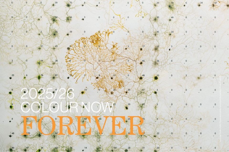 Colour Now 2025/26 | FOREVER