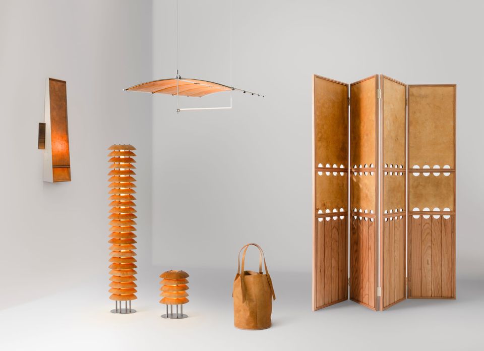 Reishi™ in the Nordic Light