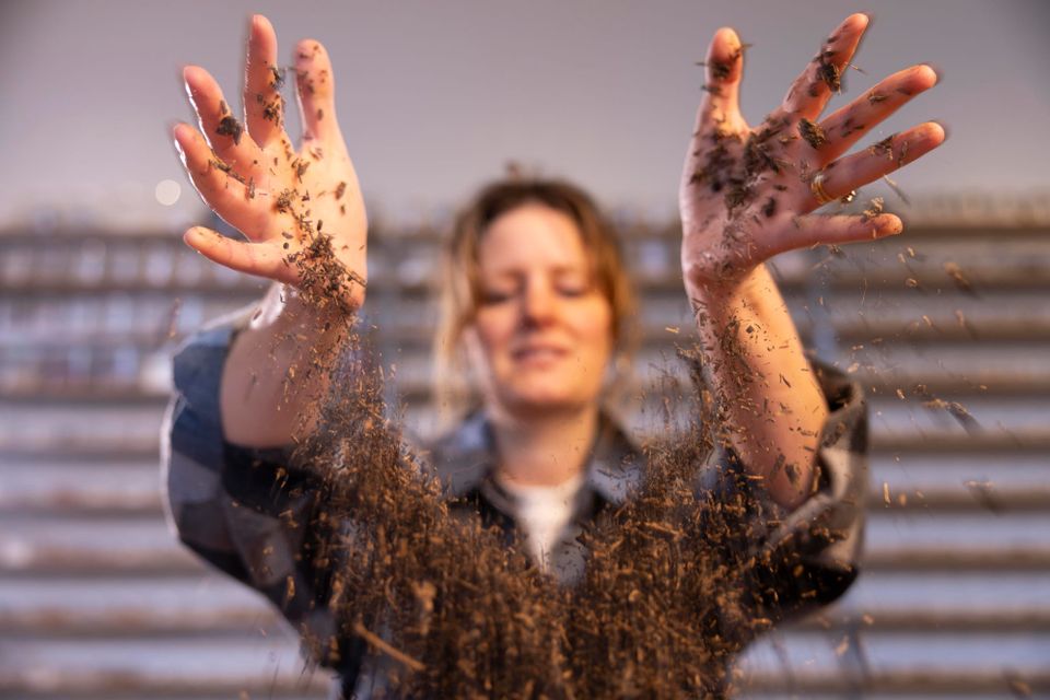 Museum of Edible Earth