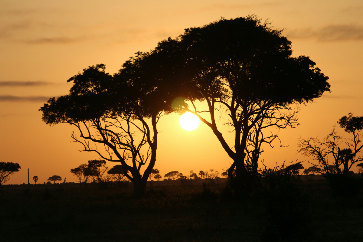 Africa’s Solar Surge and the Future of Distributed Power