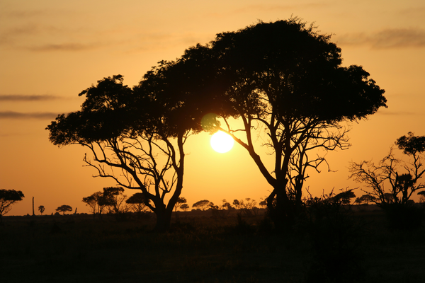 Africa’s Solar Surge and the Future of Distributed Power