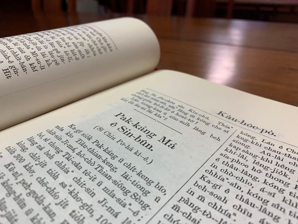 POJ 讀册会 5：北港媽 ê 新聞（神像墬谷）