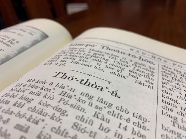 POJ 讀册会 3：塗炭仔（灰姑娘的灰是煤炭灰的灰）