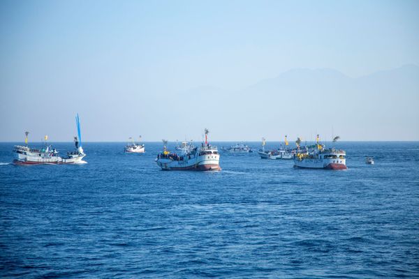 二〇二一辛丑正科琉球迎王