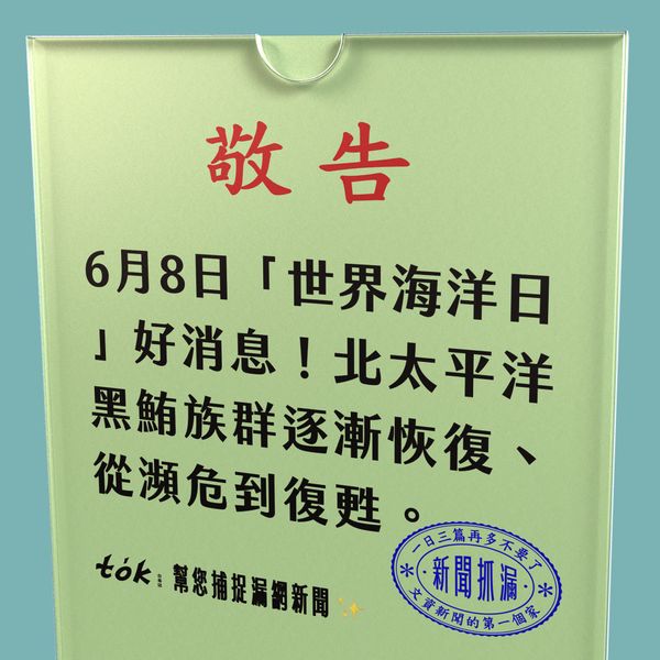 to̍k NEWS 🗞️ 6/8 世界海洋日 北太平洋黑鮪從瀕危到復甦