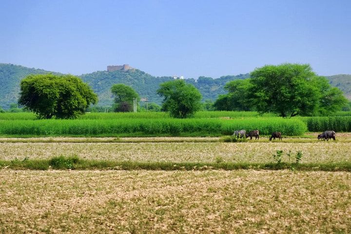 Towards poverty alleviation through sustainable agriculture