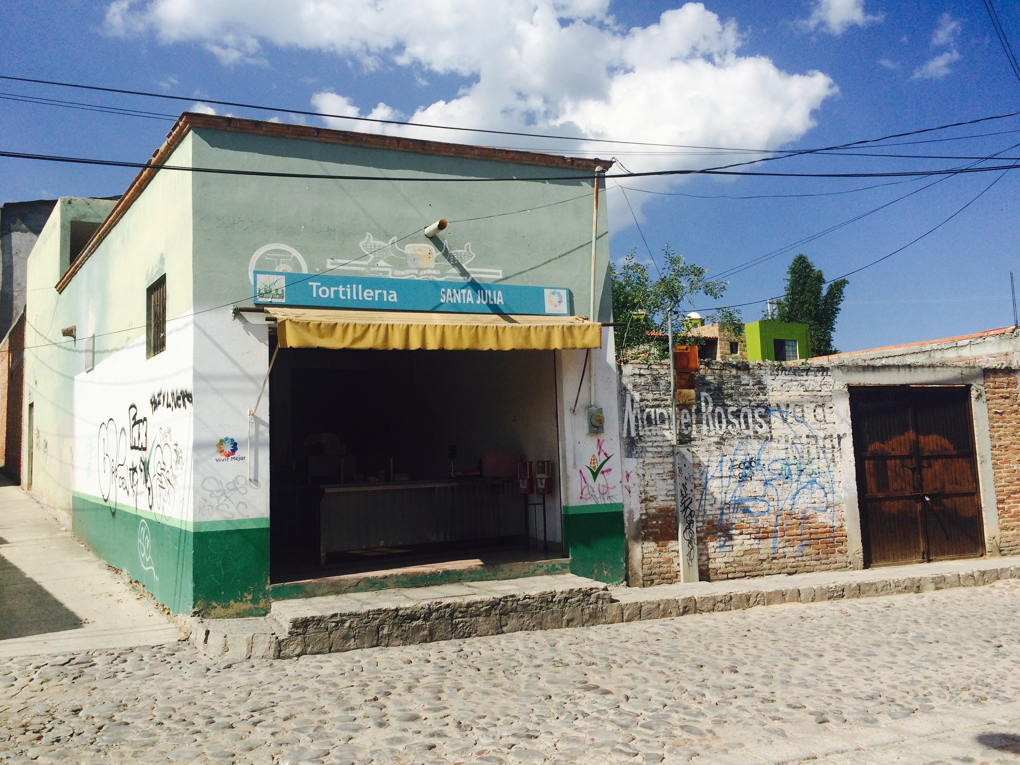 against the blue sky